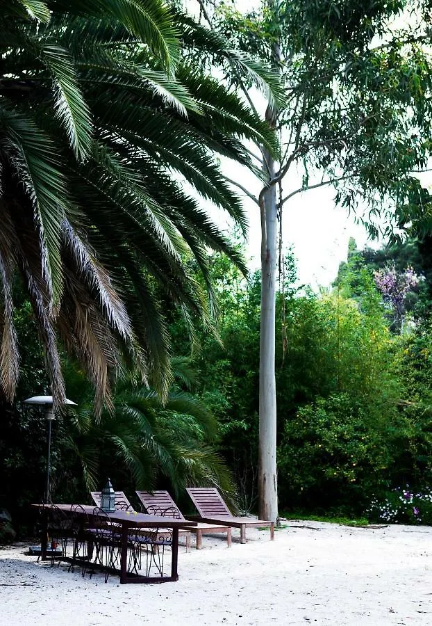 Residence Alouettes Hyeres France