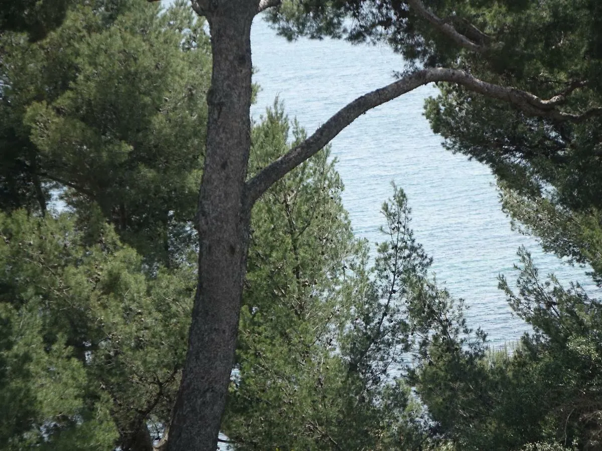 Apartment Residence Alouettes Hyeres